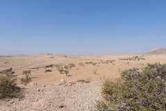 07-aug-Bushmans-Desert-Camp-1