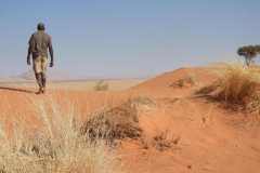 07-aug-Bushmans-Desert-Camp-13