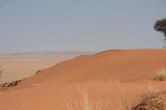 07-aug-Bushmans-Desert-Camp-15