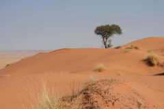 07-aug-Bushmans-Desert-Camp-16