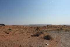 07-aug-Bushmans-Desert-Camp-20