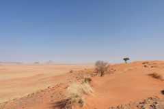 07-aug-Bushmans-Desert-Camp-21