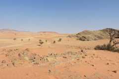 07-aug-Bushmans-Desert-Camp-22