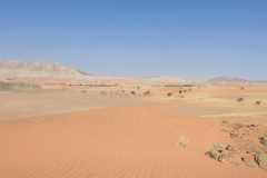 07-aug-Bushmans-Desert-Camp-23