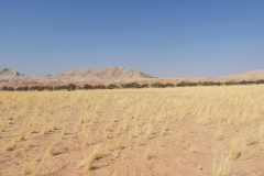 07-aug-Bushmans-Desert-Camp-27