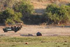 19-aug-river-cruise-Chobe-25