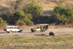 19-aug-river-cruise-Chobe-26