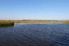 19-aug-river-cruise-Chobe-28