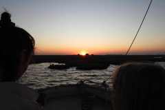 19-aug-river-cruise-Chobe-4