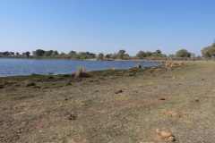 24-aug-Okavango-1