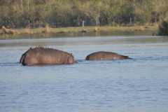 24-aug-Okavango-11