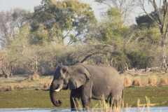 24-aug-Okavango-12