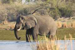 24-aug-Okavango-13