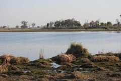 24-aug-Okavango-14