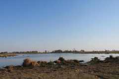 24-aug-Okavango-15