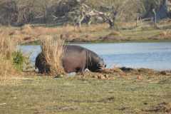 24-aug-Okavango-17