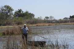 24-aug-Okavango-21