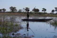 24-aug-Okavango-30