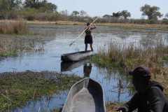 24-aug-Okavango-32