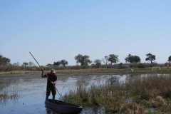 24-aug-Okavango-38