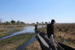 24-aug-Okavango-39