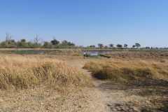 24-aug-Okavango-42