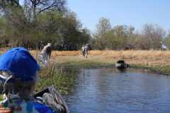 24-aug-Okavango-43