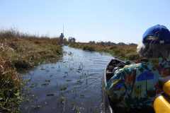 24-aug-Okavango-46