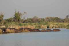 24-aug-Okavango-5