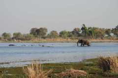 24-aug-Okavango-8