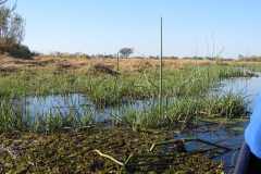 25-aug-Okavango-10