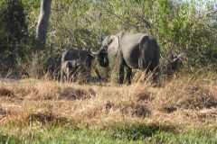 25-aug-Okavango-12