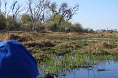 25-aug-Okavango-14