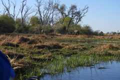 25-aug-Okavango-15