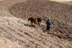 25-July-Sani-Pass-15