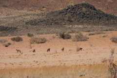 5-aug-Sossusvlei-9