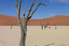 6-aug-Sossusvlei-10