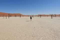 6-aug-Sossusvlei-15