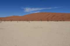 6-aug-Sossusvlei-17