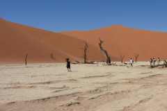 6-aug-Sossusvlei-18