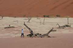 6-aug-Sossusvlei-22