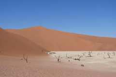 6-aug-Sossusvlei-23