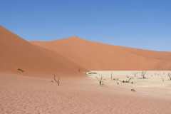 6-aug-Sossusvlei-24