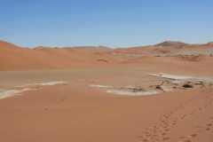 6-aug-Sossusvlei-31