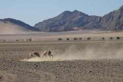 6-aug-Sossusvlei-35