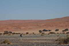 6-aug-Sossusvlei-38