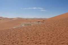 6-aug-Sossusvlei-8