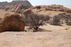 12-aug-Spitzkoppe-19