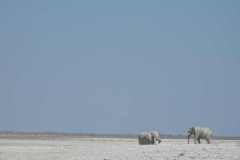 13-aug-to-Etosha-2