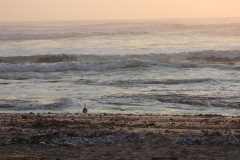 10-aug-Swakopmund-7